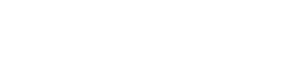 Gesundheitslotse Heins A. Schütt